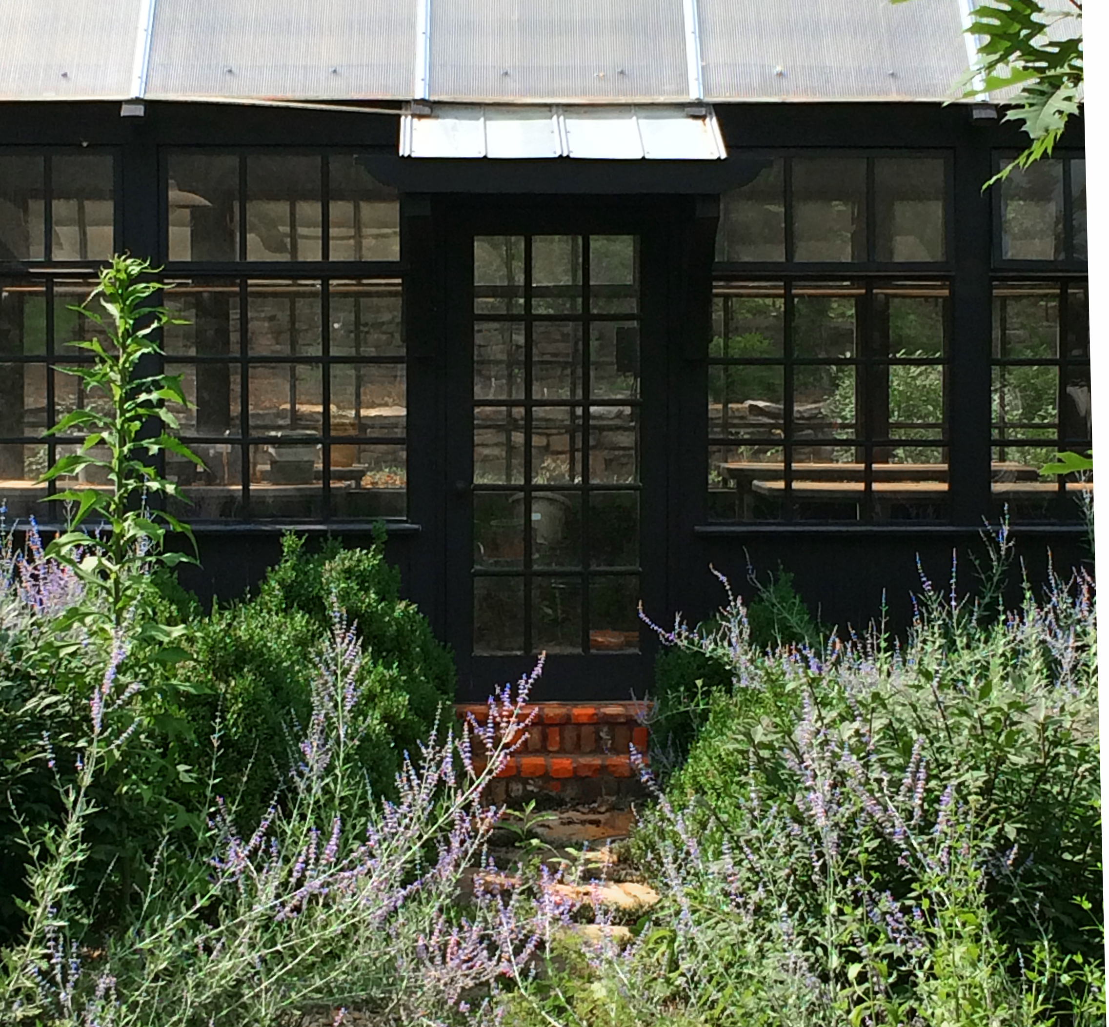greenhouse door and green plants